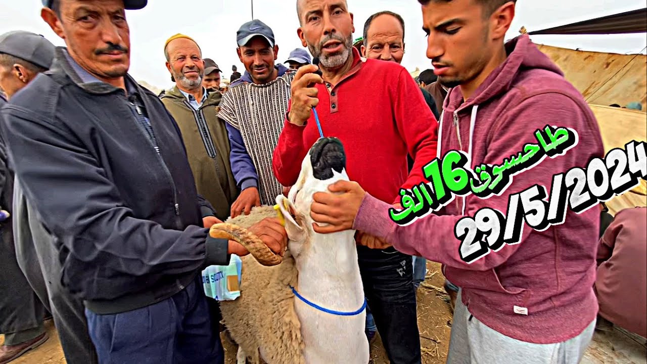 الاربعاء العونات اقليم دكالة  ثمن حولي عيد الاضحى29\5\2024 طايح 16الف بسوق الخروف اسبانيا مكاينش