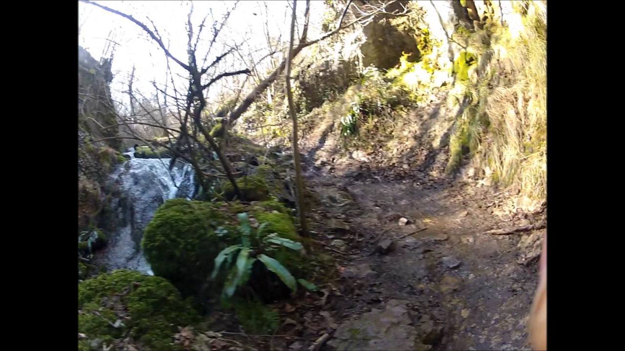 trail ruthenes