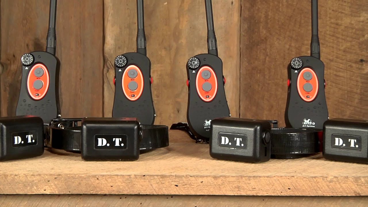 D.T. Systems H20 Collars; Waterproof Dog Collar