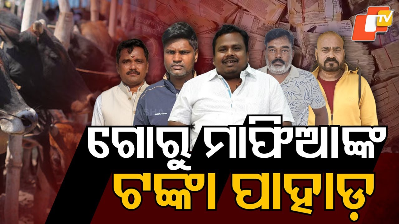 Operation Go-Raksha: Keonjhar Police Uncover Huge Assets of Cow Smuggling Syndicate