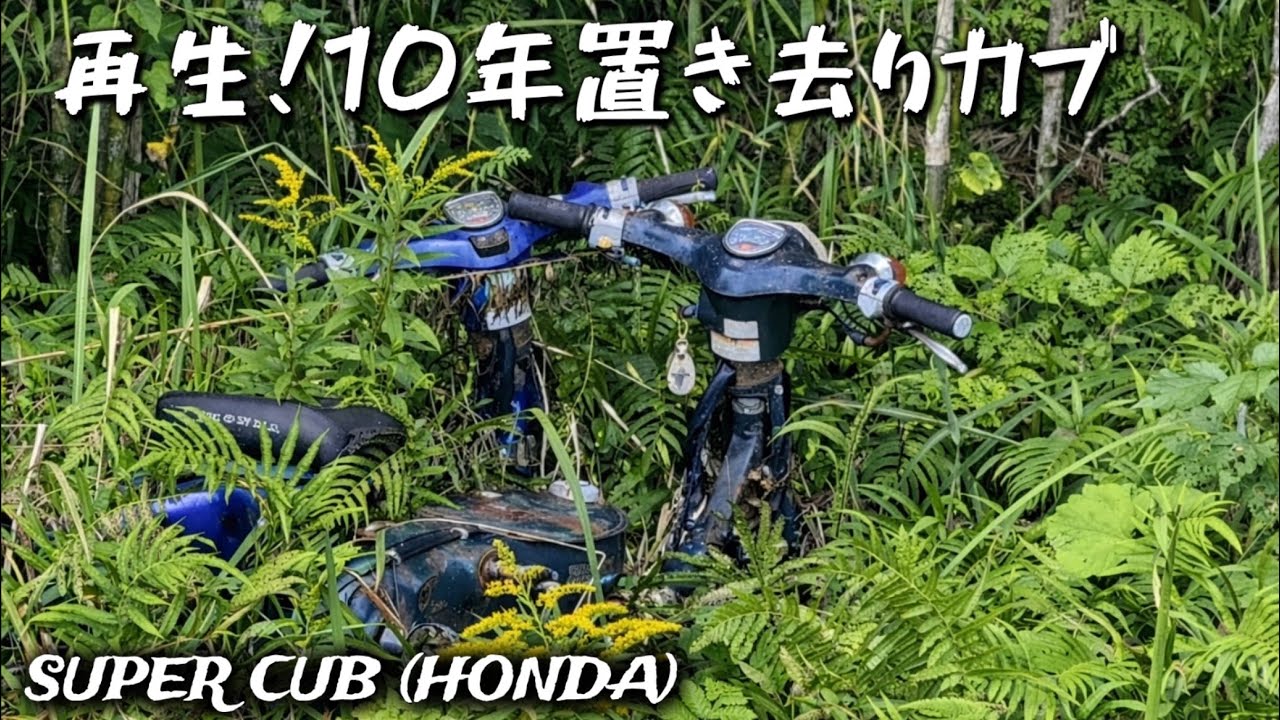 レストア再開！草むらに放置されたスーパーカブ
