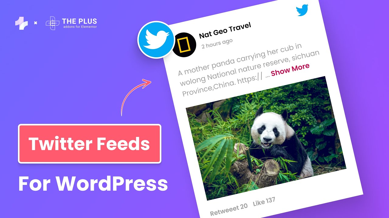 How to Embed Live Twitter Account Feed in WordPress (Gutenberg) &mdash; Twitter Trends, List, Retweets etc