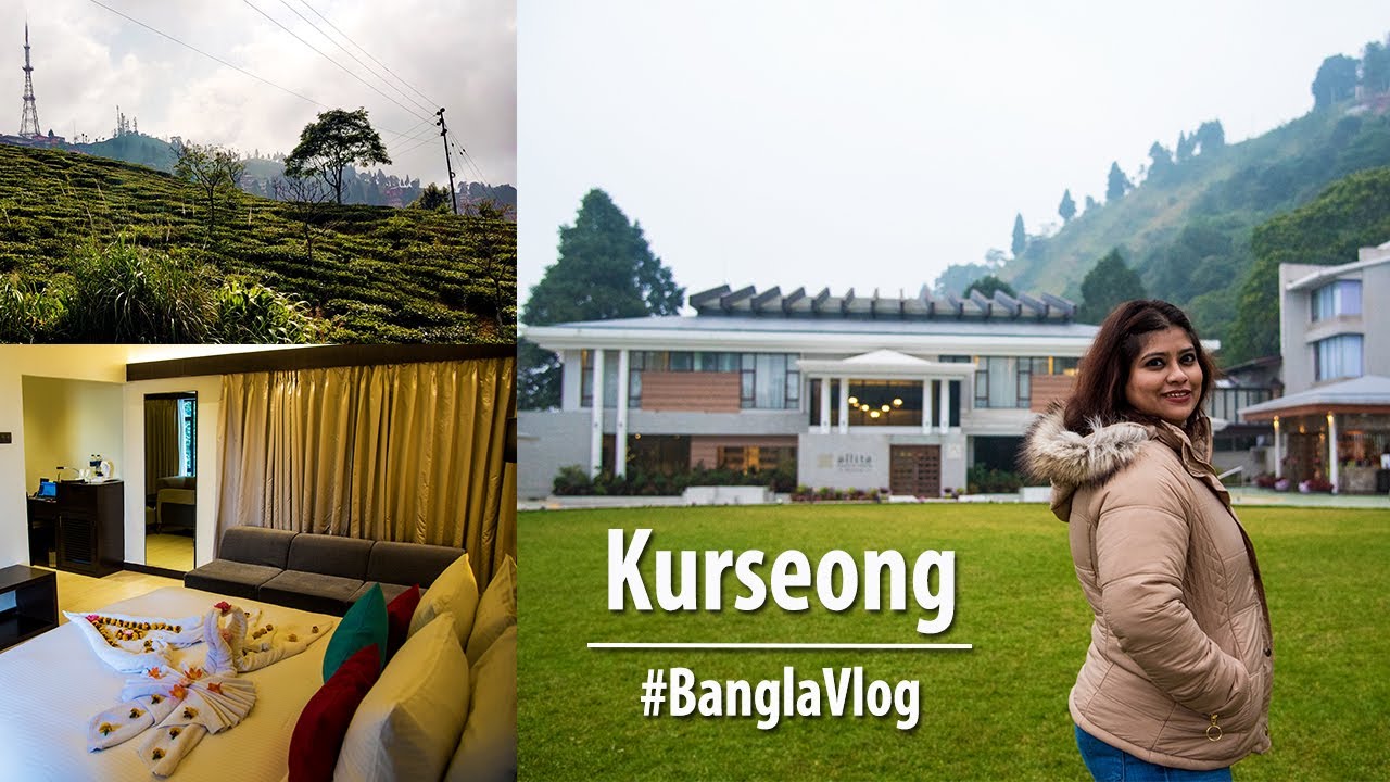Allita Hills & Resorts I Kurseong I Weekend Plan Guide I Dow Hill I Travel Vlog 1 #thebongtrippers