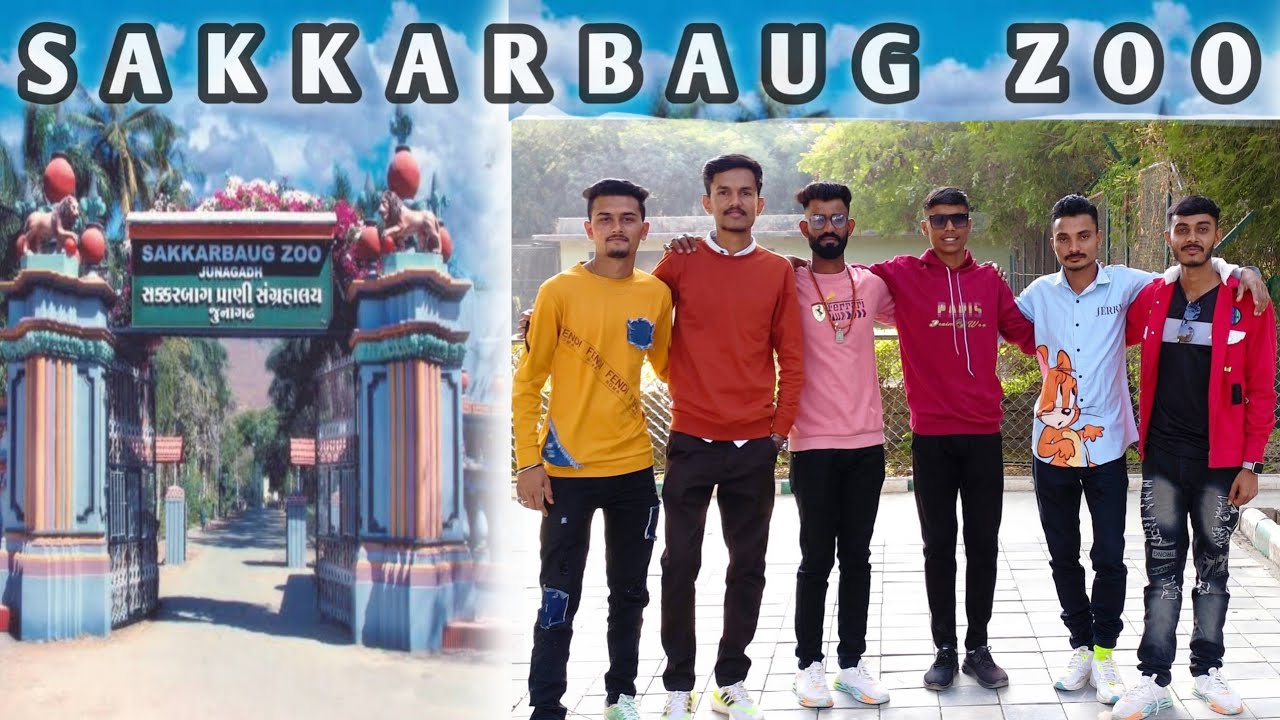 Sakkarbaug Zoological Park - Junagadh 🦁 / Sakkarbaug Zoo / Junagadh The City Of Lions 🦁 \ Animals 🦁🤩