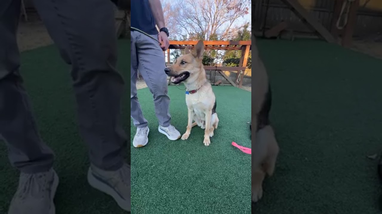 Axel
