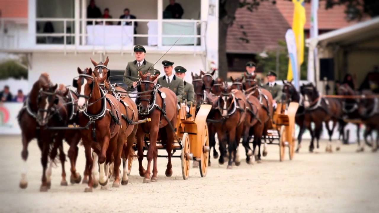 Landgestüt Redefin - Imagefilm (engl.) 2014 - State Stud Redefin