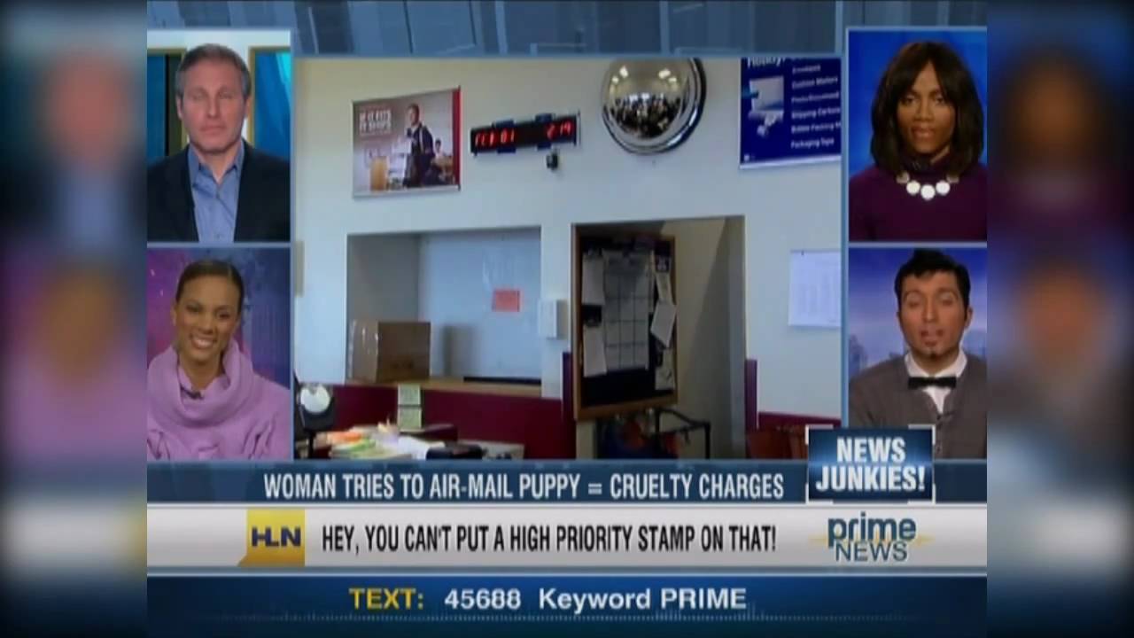 Ralphie Aversa on CNN Headline News 'Prime News' - 02/02/11