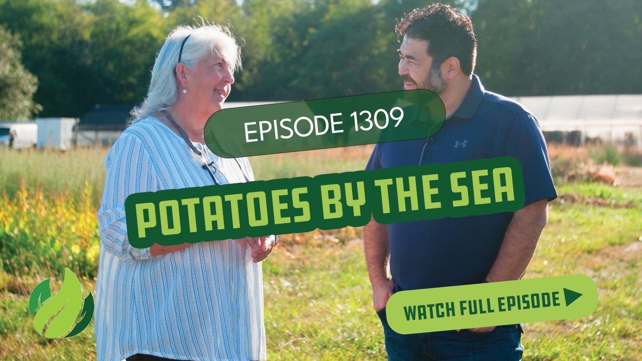 Potatoes by the Sea I Season 13 Episode 9 I Washington Grown