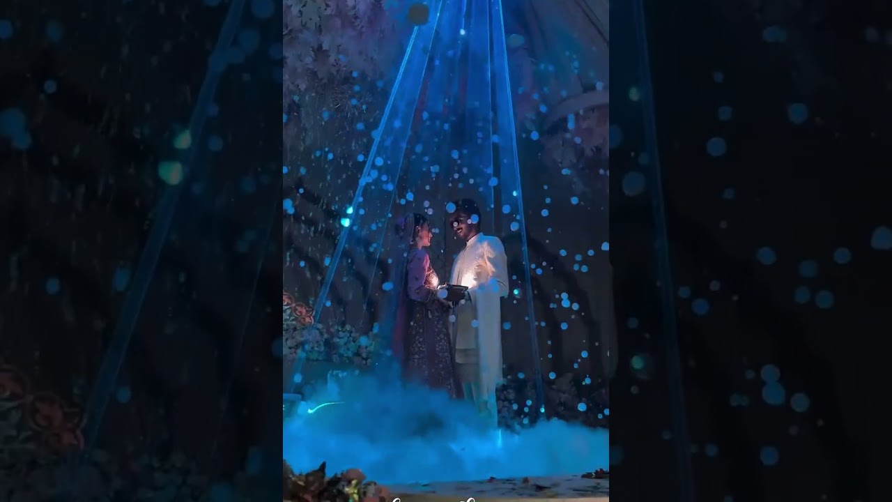 3W 5W 10W 15W Animation RGB Laser Light Projector in Your Wedding Day #light #weddingplanning