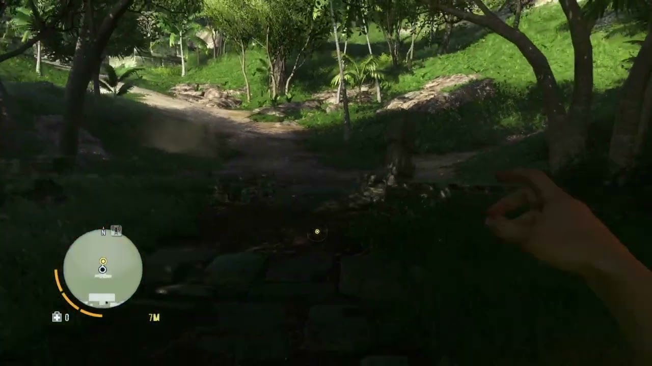 Far Cry 3 Classic Edition Trophy #24