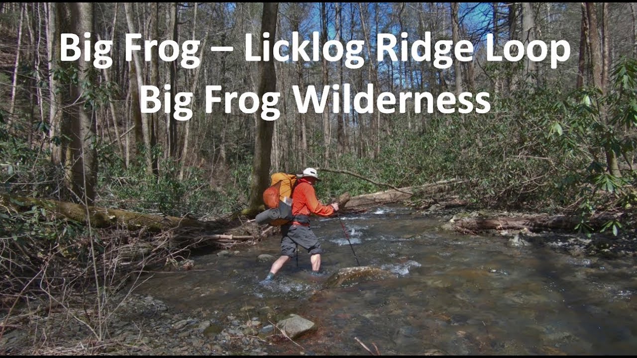 Big Frog - Licklog Ridge Loop:  Big Frog Wilderness