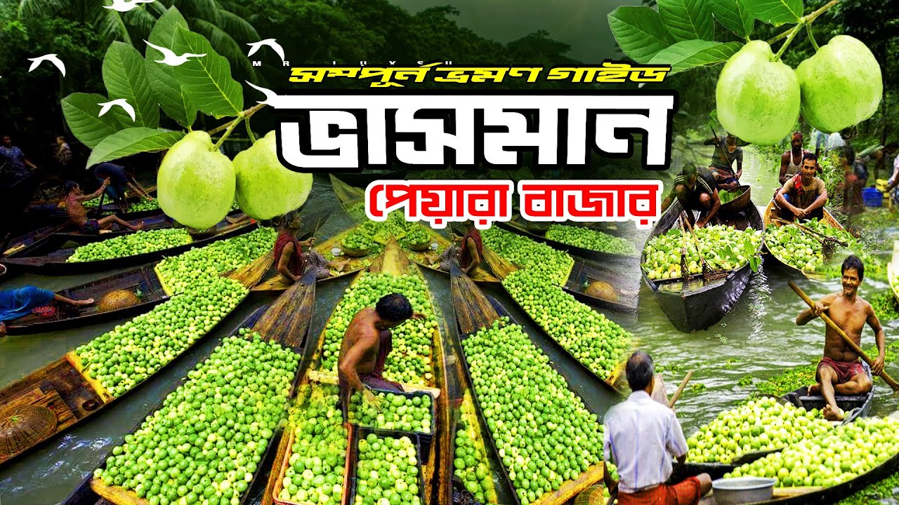 Vasoman Peyara Bazar in Bangladesh । ভাসমান পেয়ারা বাজার । Biggest Floating Market In BD । Mr Luxsu