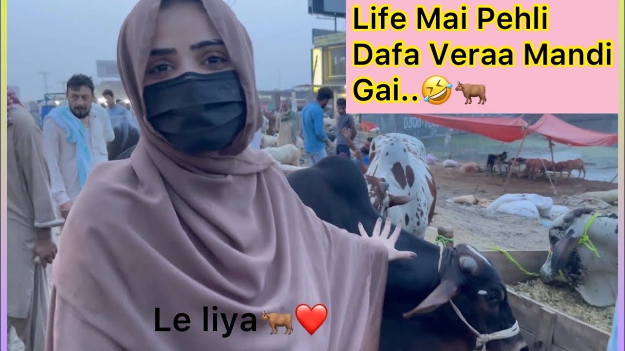 Itnay Mehangay Janwar 😱 | Qurbani Le Hi Li Finally | | Bari Eid 2022 | Dietitian Aqsa