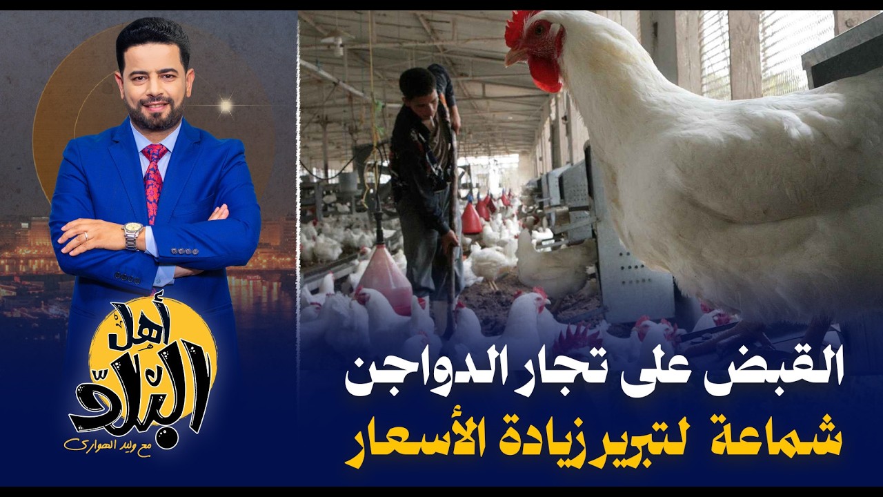 القبض على تجار الدواجن يفشل في السيطرة على إرتفاع أسعار الفراخ مع زياده أسعار العلف