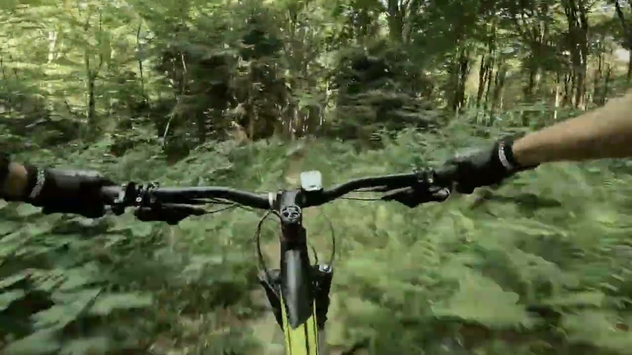 Trzygł&oacute;w, Jeleniowskie Ścieżki, kr&oacute;tko