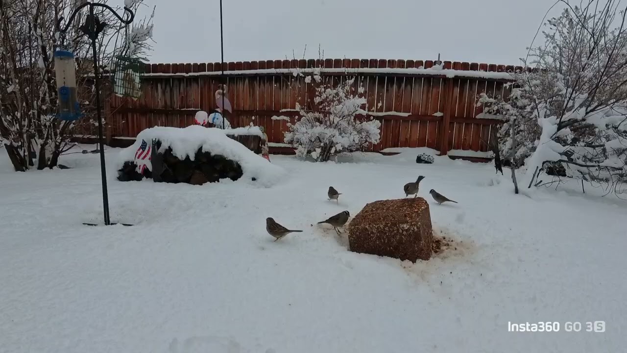 Snow way, it's a snow day! ❄️ 