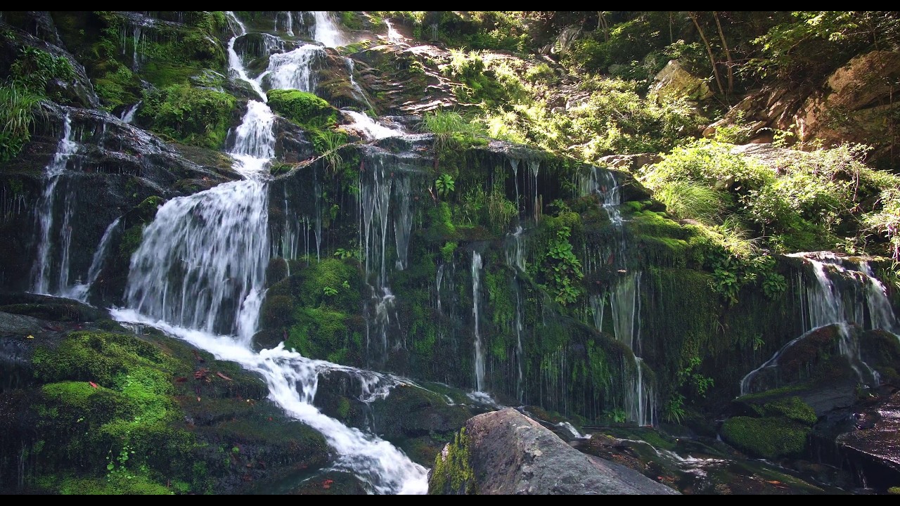 Forest Waterfall – Natural White Noise 🔊😌
