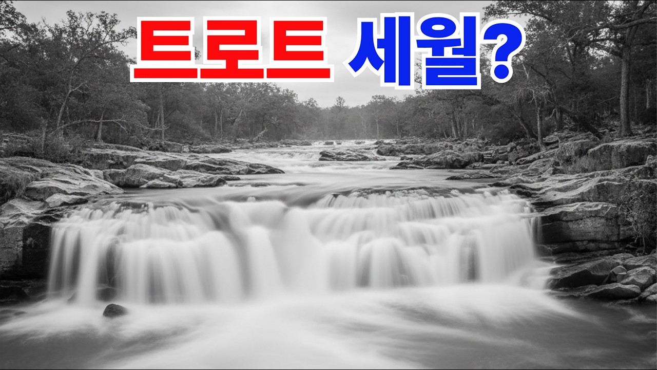 🎤 제목: 세월의강물 🎤 제목: 인생의세월🎤 제목: 오늘이최고다 🎤 제목: 세월의청춘  더존-스튜디오