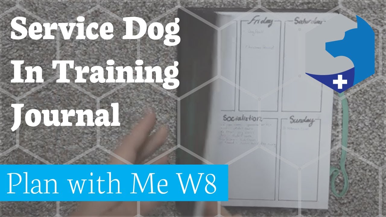Service Dog in Training Journal Plan with Me Week 8