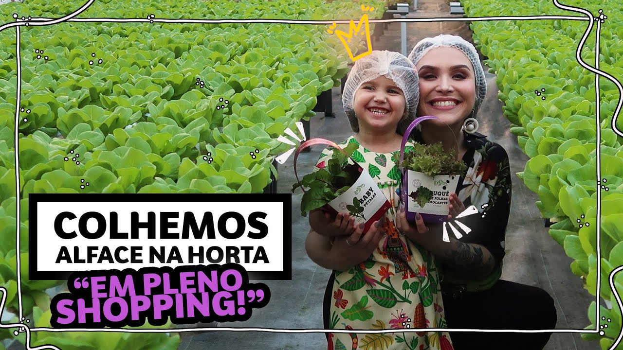 Dia de atividades em família | Lu Ferreira | Chata de Galocha