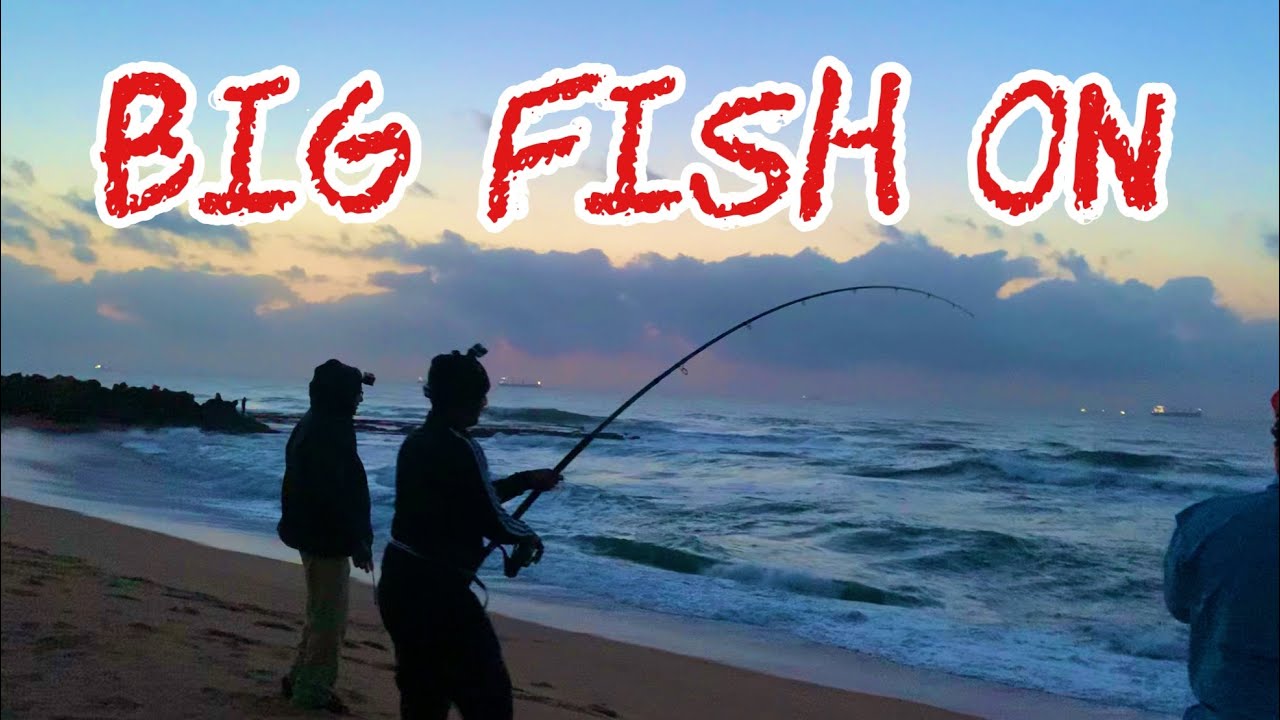Big Fish Stumpy Fish Dollar Fish Umdloti Beach Durban South Africa