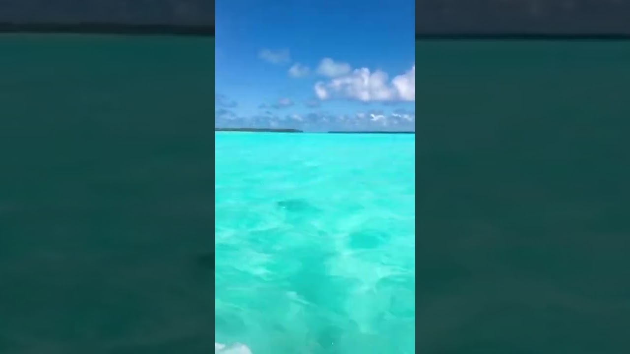 Cant get over how clear it is here! #shorts #thebrando #frenchpolynesia #tahiti #luxurytravel