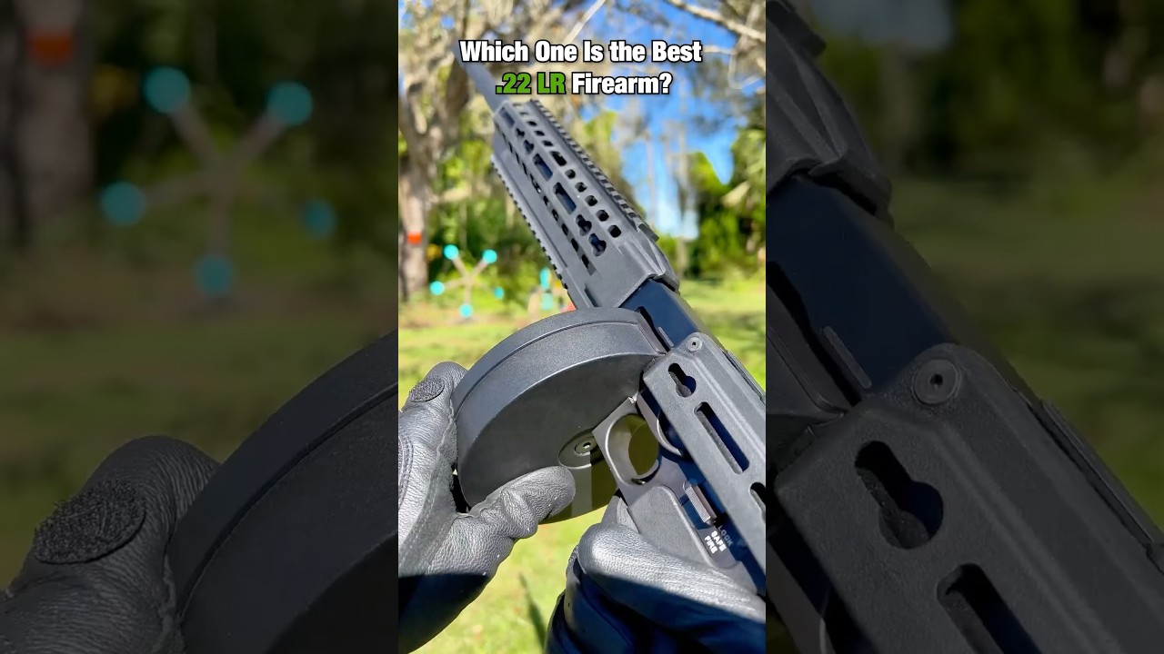 Which One Is the Best .22 LR Firearm?
