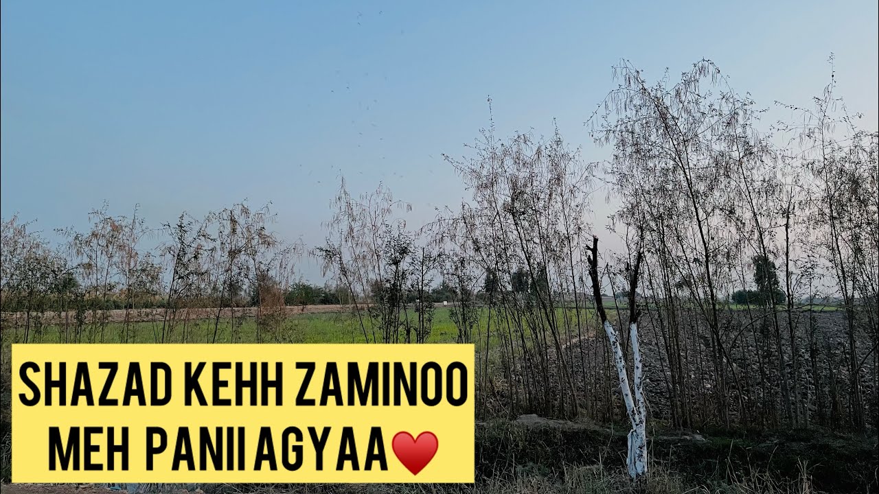 Shazad Keh Zaminoo Meh Panii Aagya♥️