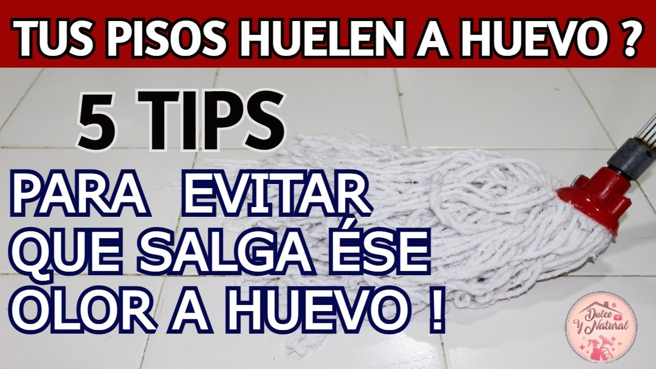 ⛔ cuándo trapeas queda un olor a huevo en tu casa / Dulce y Natural.