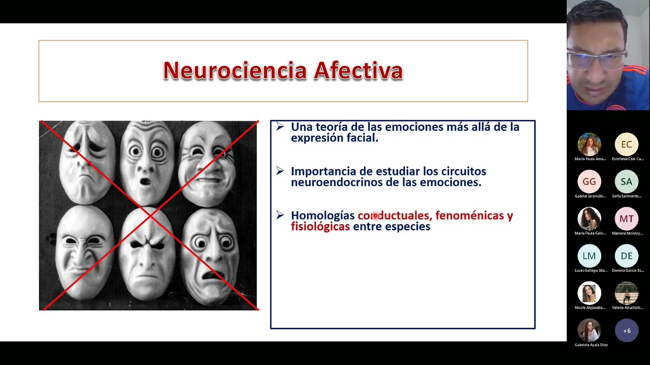¿Qué es la Neurociencia Afectiva?