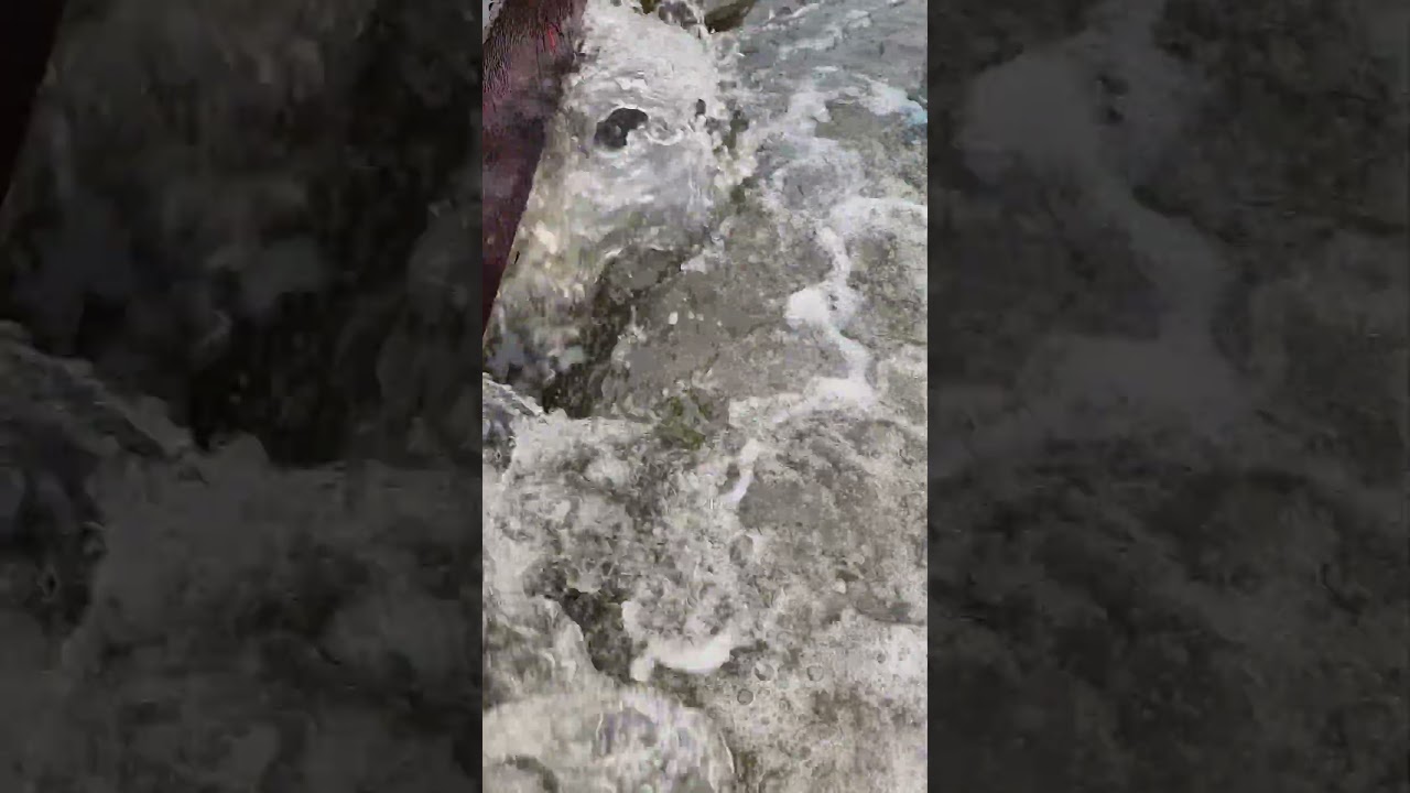 #waterflooded#california #losangeles