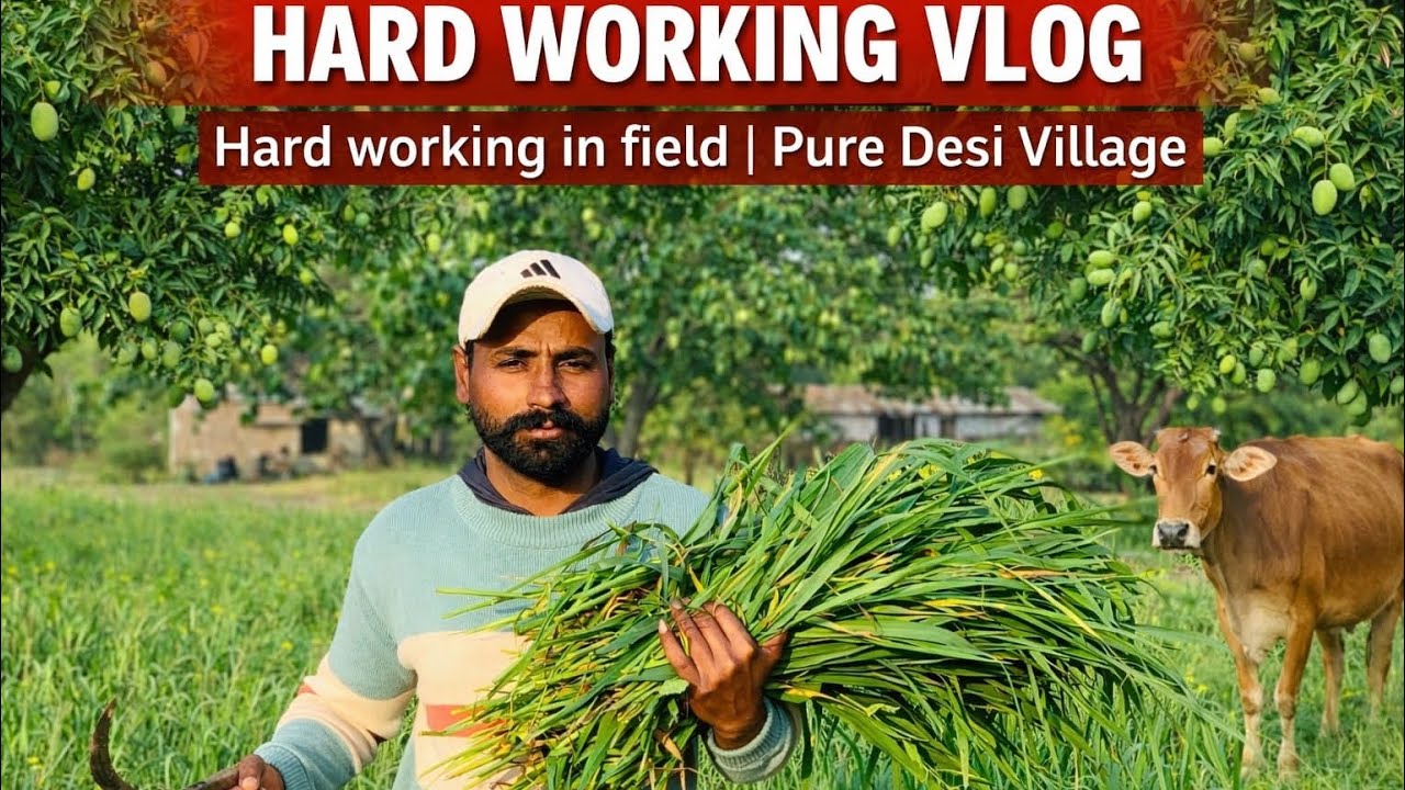 Hard Work During Ramzan Kareem🌾 | Pure Desi Village Vibes | Ansar Desi Vlog