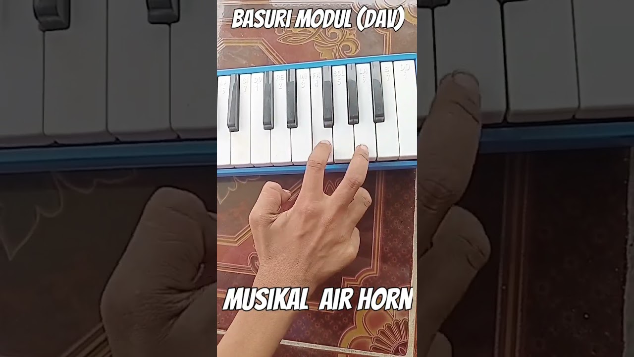 modul dav musikel air horn