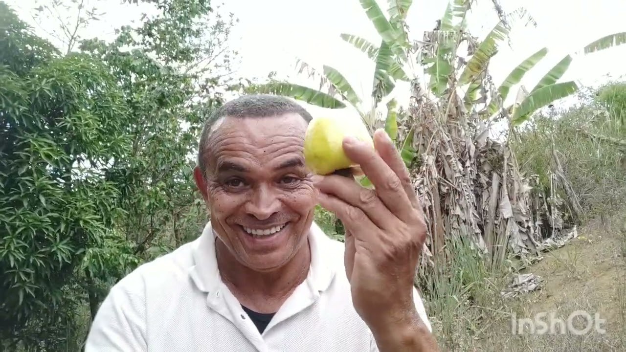 Visitando a cachoeira véu da noiva 2 Pernambuco 