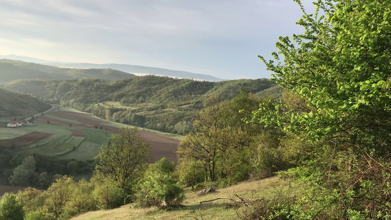 Rabbit hunting - Gjuetia e lepurit