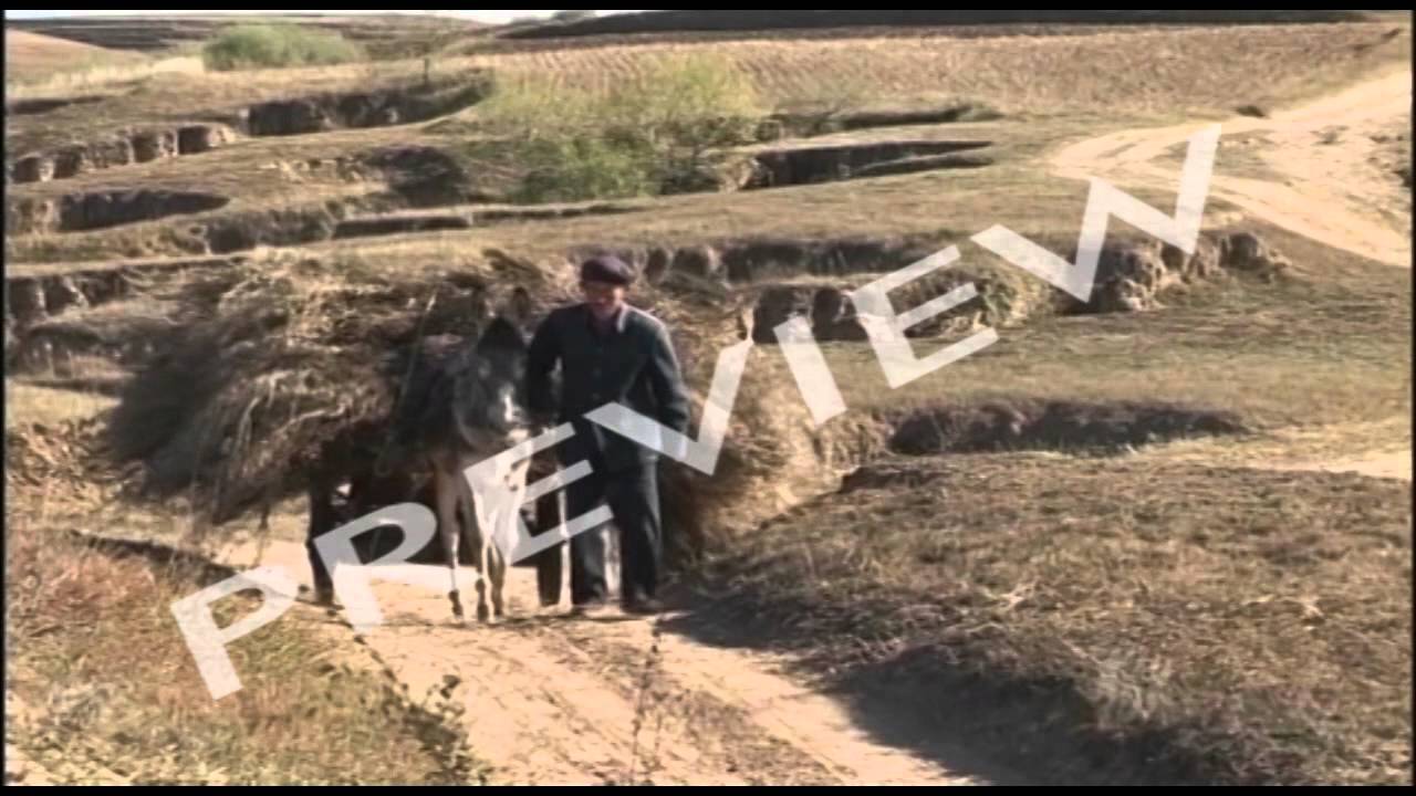 Water Crisis 2