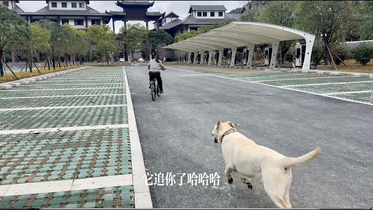 發現一個新建的露營基地，，風景很好，帶著多多在露營地玩耍