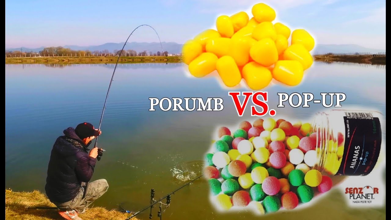 PORUMB Vs. POP-UP - CARE CĂȘTIGĂ? Pescuit la CRAP Primavara cu Senzor Planet