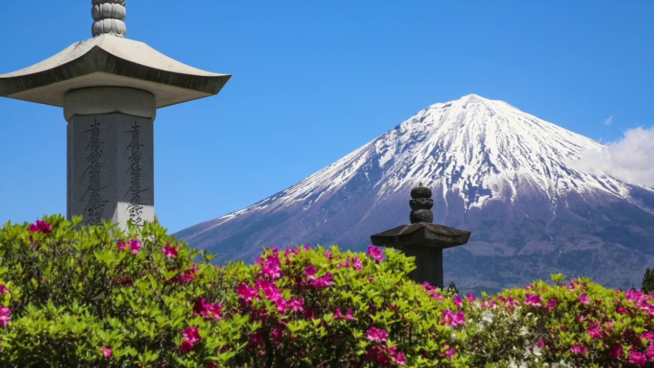総本山の新緑 2020