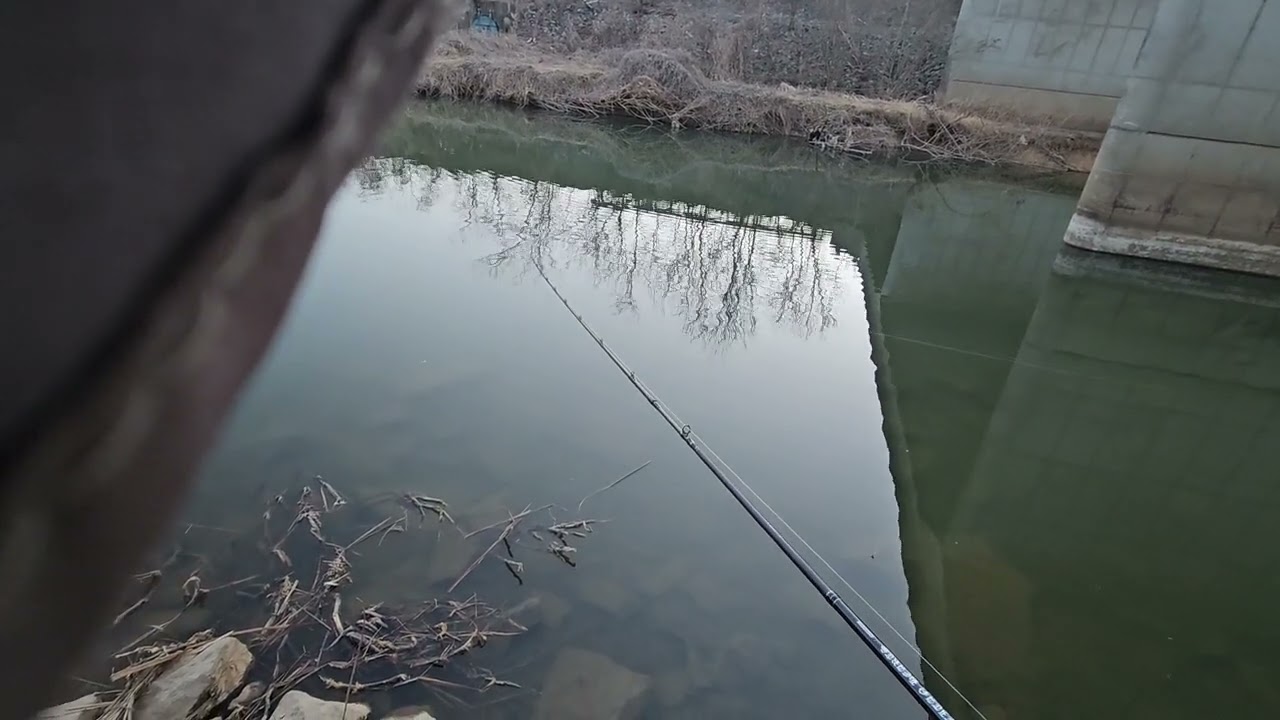 #겨울배스 #취미 #낚시 #배스낚시 #낚린이 #한파주의보 