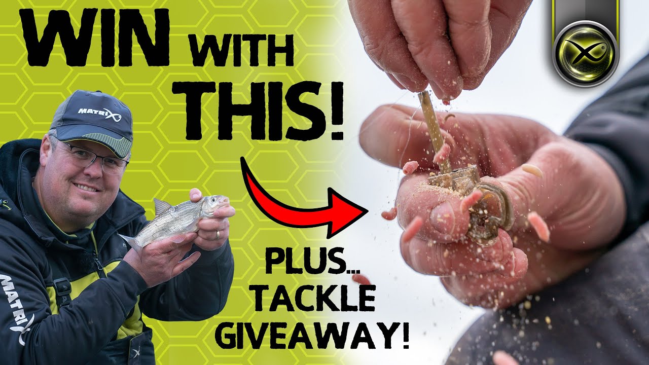 EVERYTHING YOU NEED TO KNOW... About MAGGOT FEEDERS!