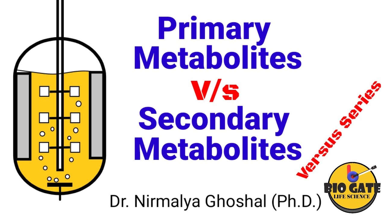 Primary and Secondary Metabolites of Microorganism #industrialmicrobiology