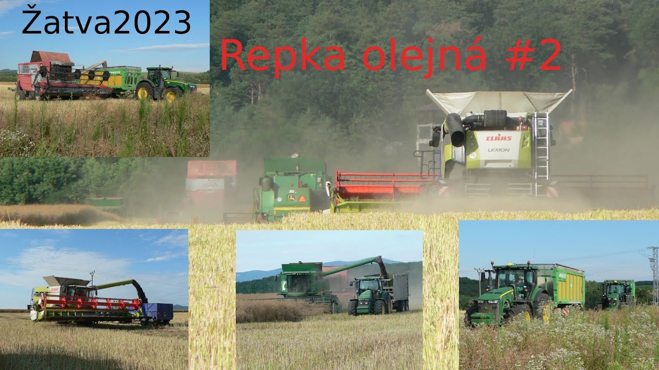 Žatva 2023 / Repka olejná #2 / 3x John Deere T660 / Claas Lexion 6900 / Massey Ferguson Cerea 7274