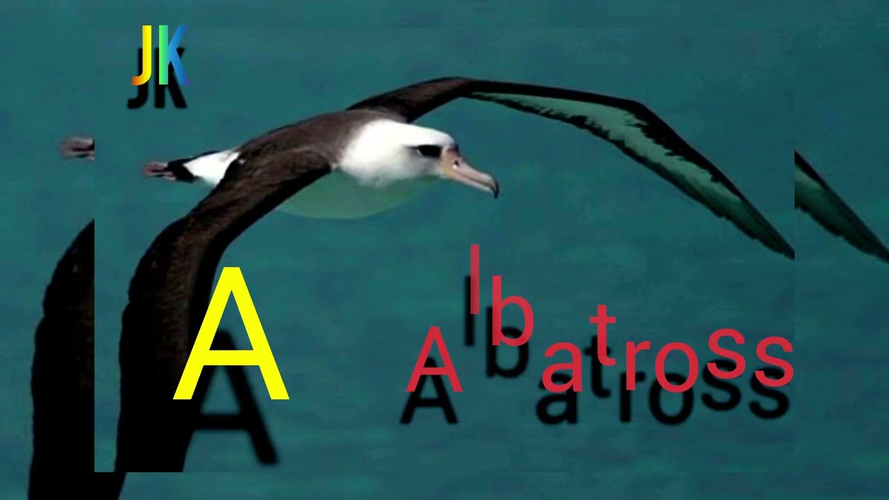 Baby 👶 rhymes || learn Abcd with birds || alphabetical order of birds || ABCD song || nusery rhymes 
