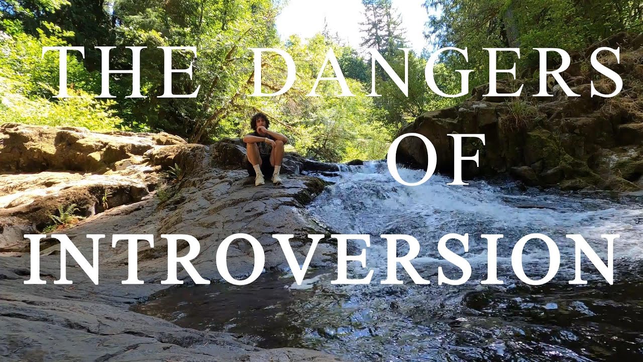 THE CHRISTIAN INTROVERT