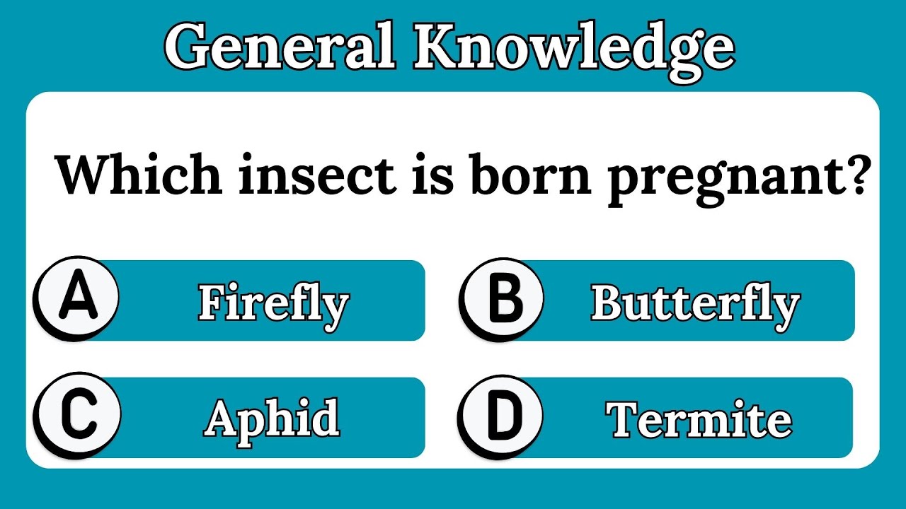 Animals Gk questions  | Trivia questions and answers | Ultimate general knowledge quiz