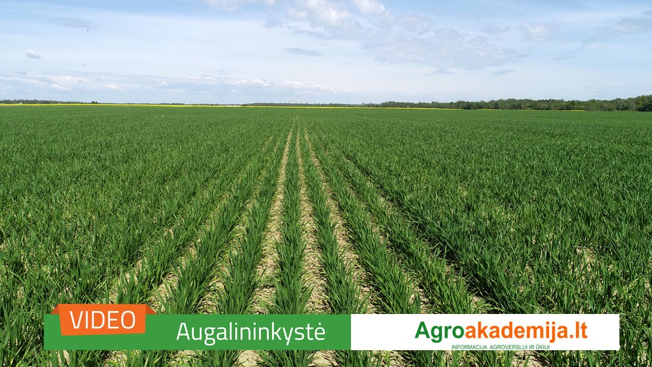 Organika &ndash; seniai žinoma, bet primir&scaron;ta tiesa