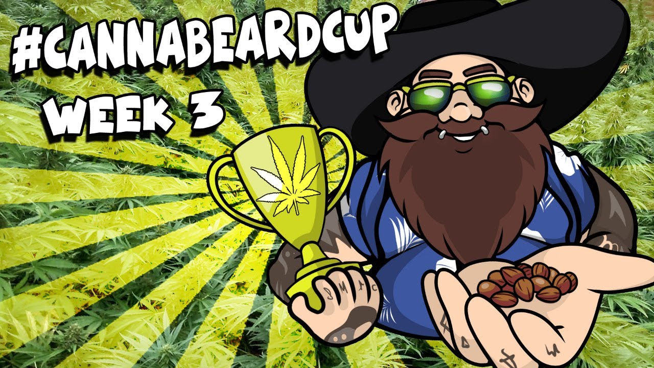 #CANNABEARDCUP - cUpdate - WEEK3