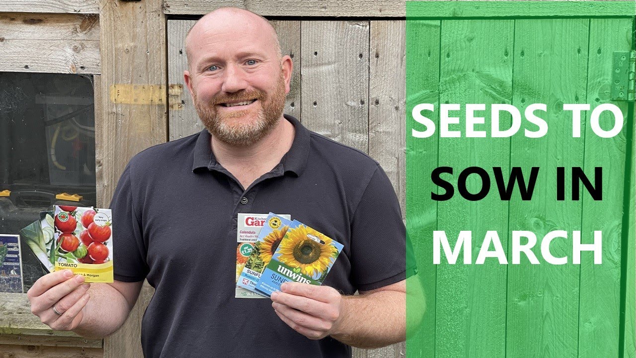 What Seeds to Sow in March