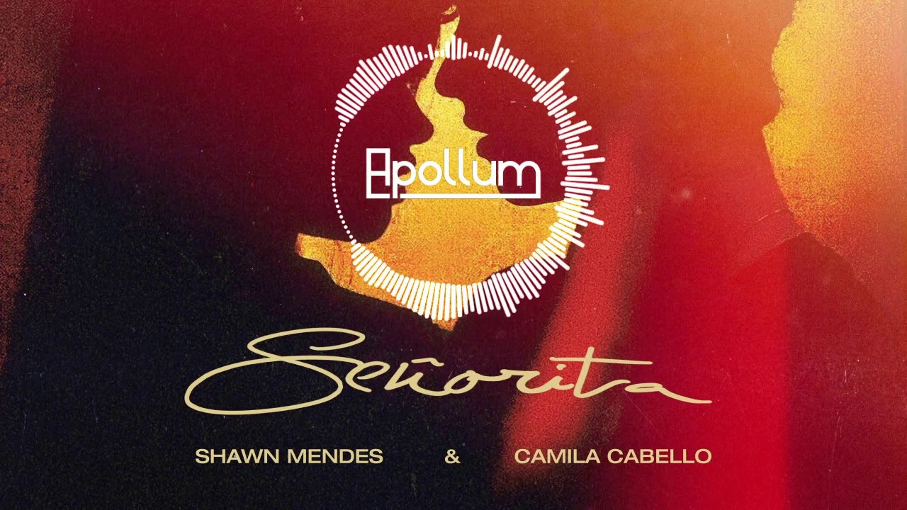 Shawn Mendes & Camila Cabello - Señorita [Apollum Remix]